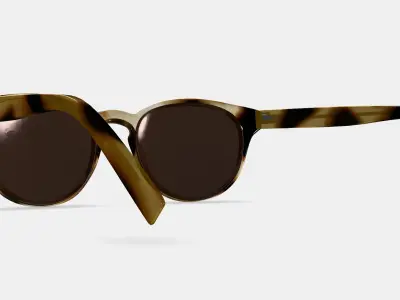 Percey Sunglasses in Striped Sassafras 3D model