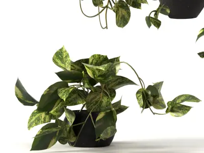 pendant plant 3D model