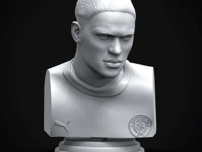Erling Haaland 3D Printable Bust 3D print model