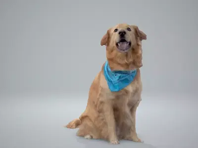 Sitting Dog Labrador Dog0002-HD2-P01-S 3D model