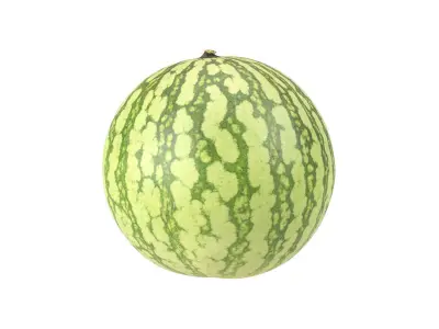 Photorealistic Watermelon 3D Scan 3D model