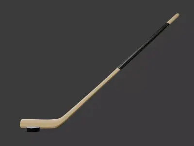Hockey stick and puck 3D model