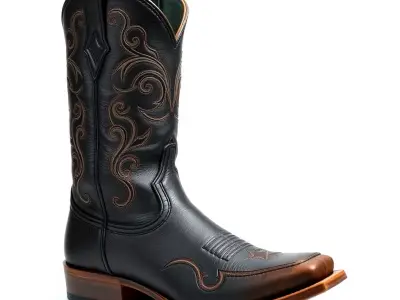 Decorative Cowboy Boot D Model Pack Low-poly 3D model