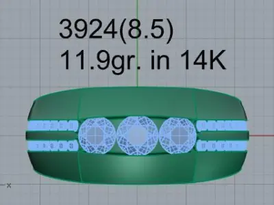 Channel Setting Band 3924 3D print model
