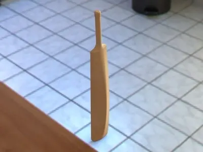 Cricket Bat Free 3D model