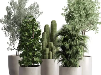 indoor plant 190 pot  cactus olive palm concrete dirt vase 3D model