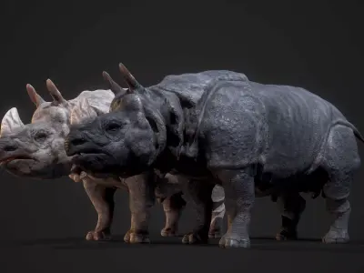 Indian Rhinoceros Low-poly 3D model