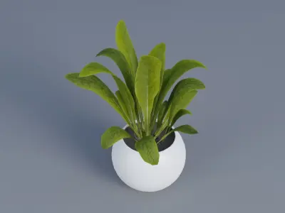 Plant pot Low-poly 3D model purchase