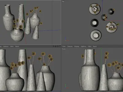Vases with dried flowers 3D model