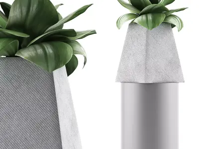 Plants Collection 112 3D model