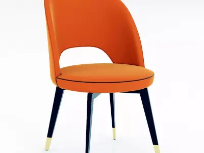 Baxter Colette 3D model