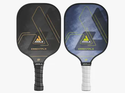 JOOLA Essentials Pickleball Paddle 3D model