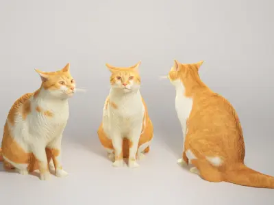 Red cat 07 Low-poly 3D model