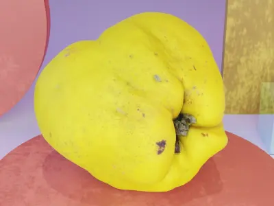 Quince fruit 05 high-poly 3D model