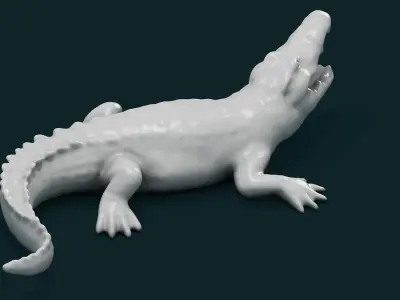 Alligator 3D model