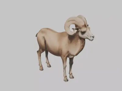 Ram Goat Low-poly 3D model