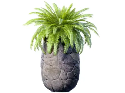 Decorative fern in a modern stone vase flowerpot pot  decoration 3D model