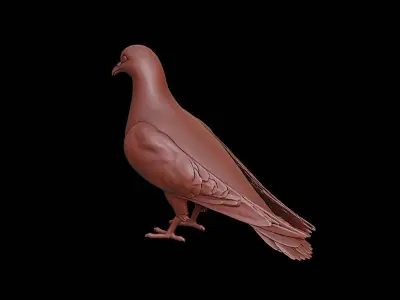 Pigeon Animal Sculpture 3D print model purchase