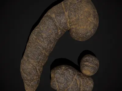 Dog Poop Low-poly 3D model