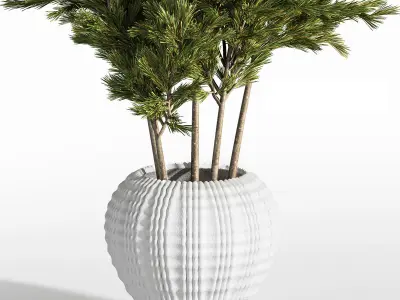 Indoor Plant Set 21 3D model