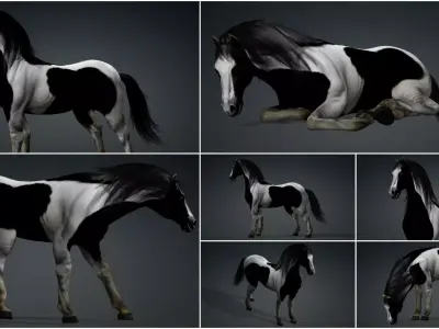 Pack-10 Horse 3D model
