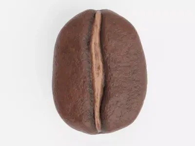 -Coffee Bean- 3D model