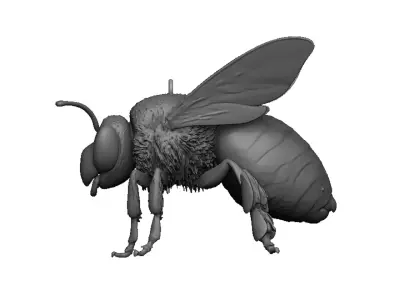 bee pendant 3D print model purchase