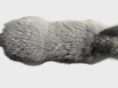 Wolf baby with realistic fur Low-poly 3D model