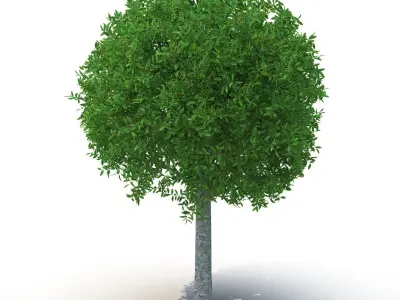 Spherical tree 3D model