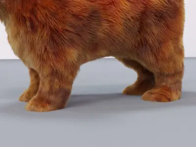 Fur Cute Cat kitten Red 02 No Rig Low-poly 3D model