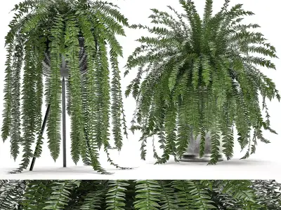 Decorative Fern in a white flowerpot 517 3D model