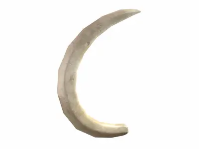 Boar Tusk - Game Ready Low-poly 3D model