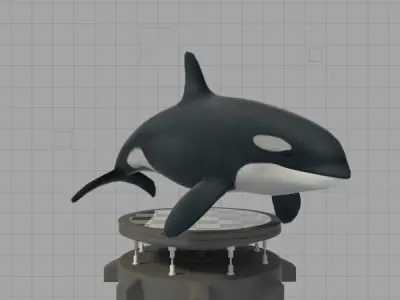 Killer Whale Low-poly 3D model