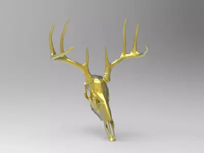 deer skull 3D model