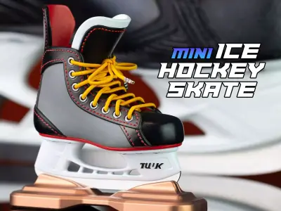 3D Printable Ice Hockey Skate Model 3D print model