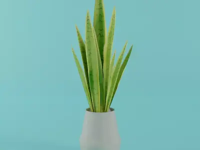 Interior Plant - Sansevieira Low-poly 3D model