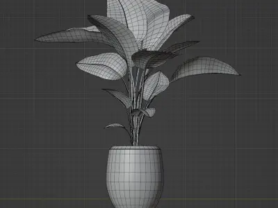 Calathea Plant 3D model