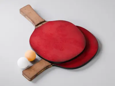 Ping Pong Paddle 3D model