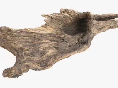 Snag Root Hideout Low-poly 3D model