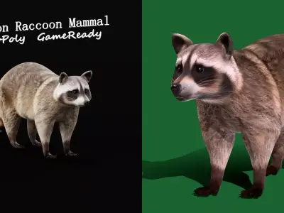 Common Raccoon Mammal Low-poly 3D model