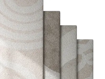 Carpet set 69 3D model