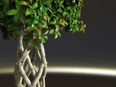 Bonsai Interior 3D model