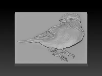 Birdd bird 3D print model