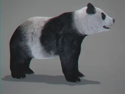 Animated Panda Bear 3D model