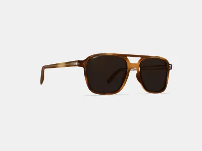 Brimmer Sunglasses in Black Walnut 3D model