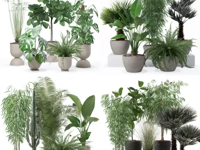 20 Photorealistic Flowers for Interiors - set 127 132 137 142 3D Model Collection