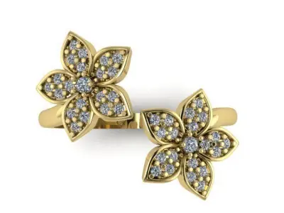 Ring 35 3D print model