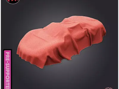 Car Cover Sport Car 3D print model