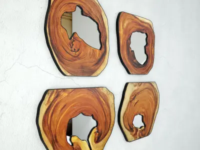 Organic Monkey Pod Mirrors 4 3D model