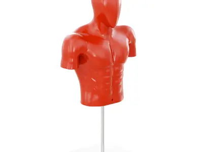 Sports mannequin torso 168 3D model